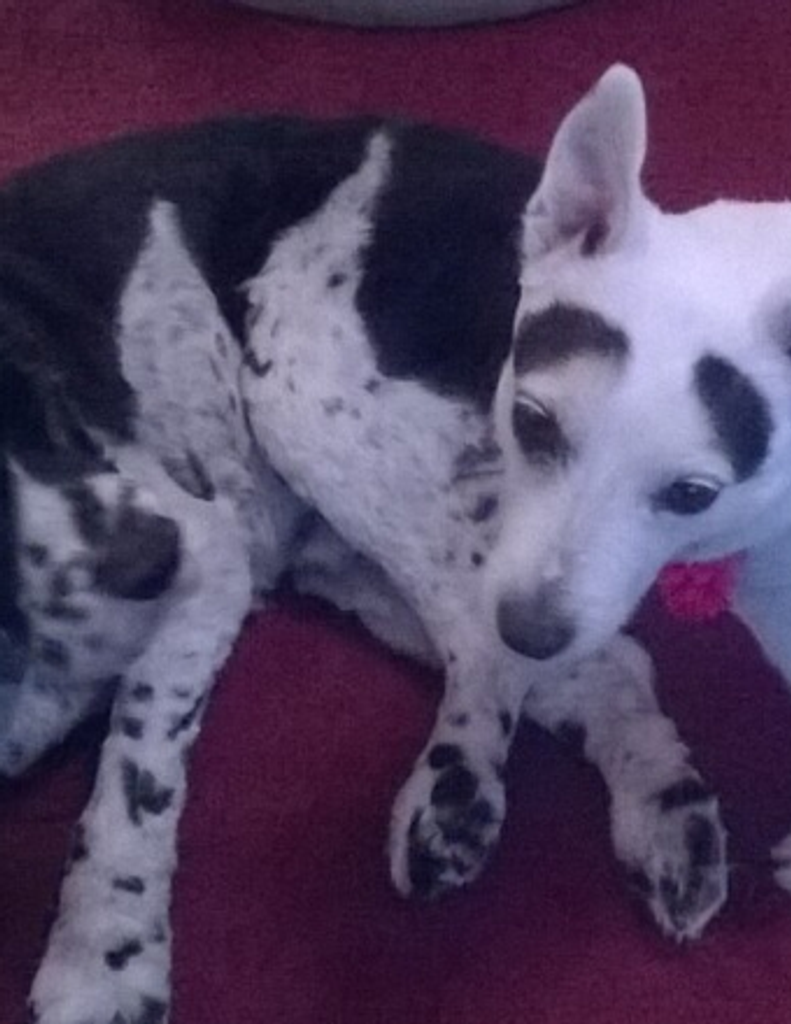 Shawna Marshall Profile Photo