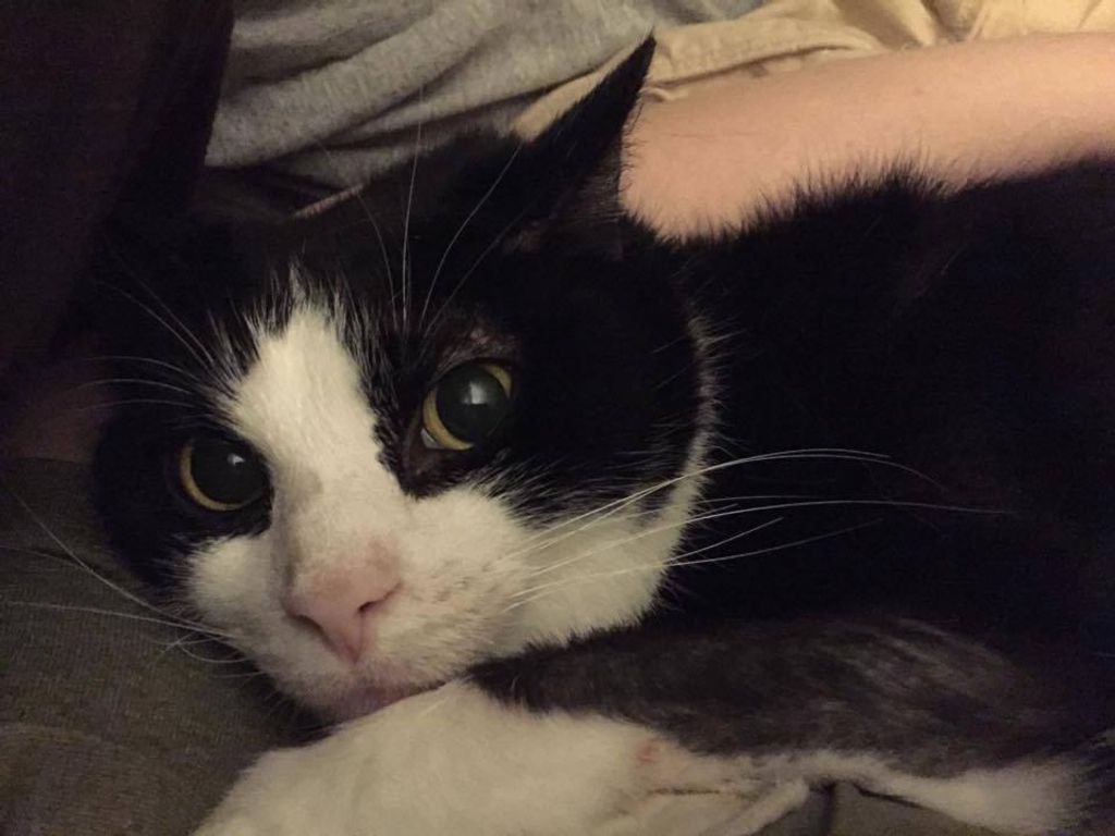 Zoe Fowler Profile Photo