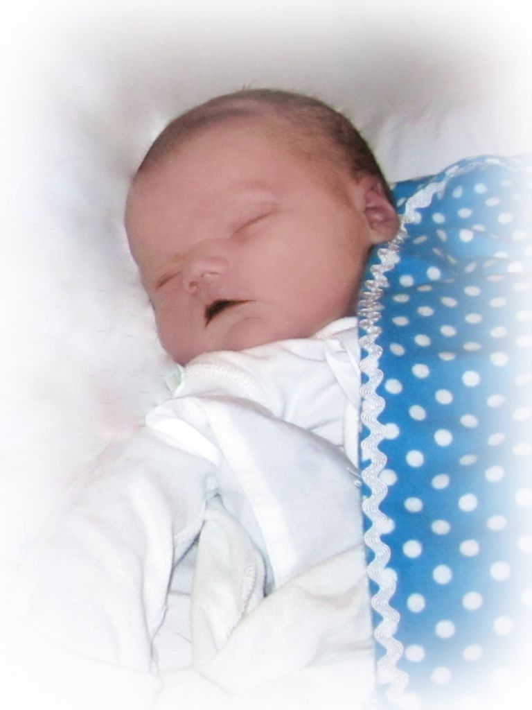Teriq Albert Arnold Profile Photo
