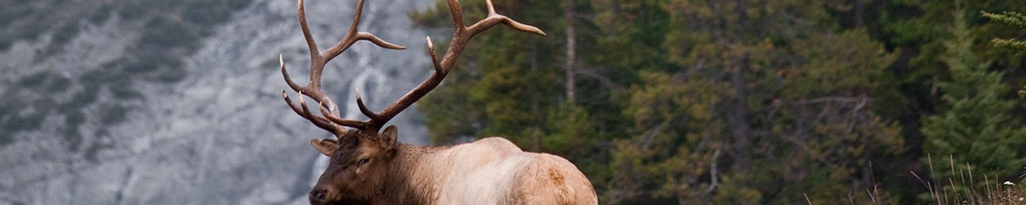 Cover photo for Dale Hanson's Obituary