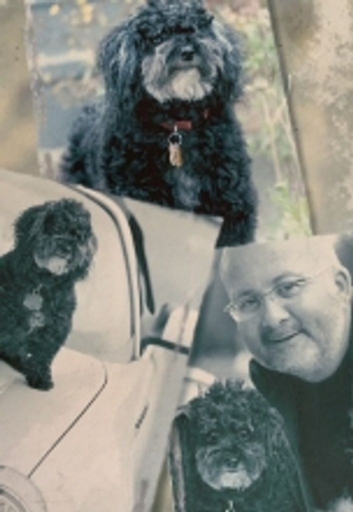Robert Albert Viau