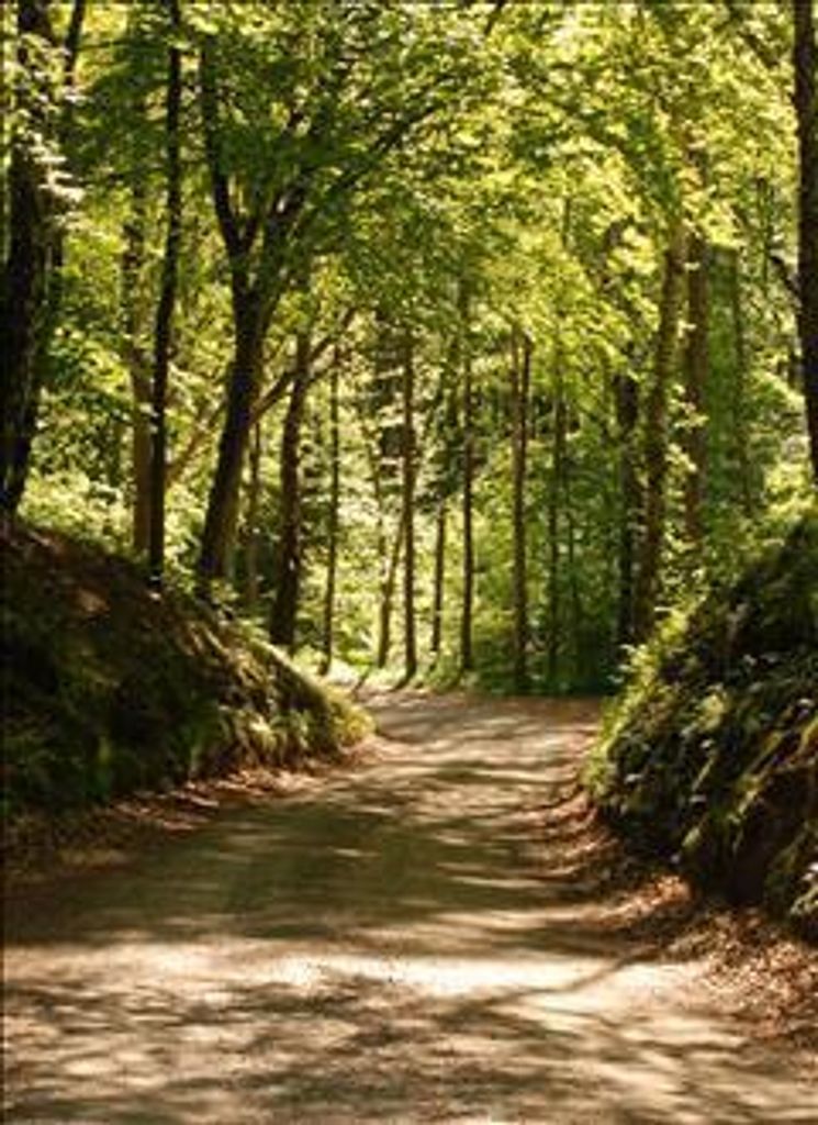 Edward Laverne Schriner