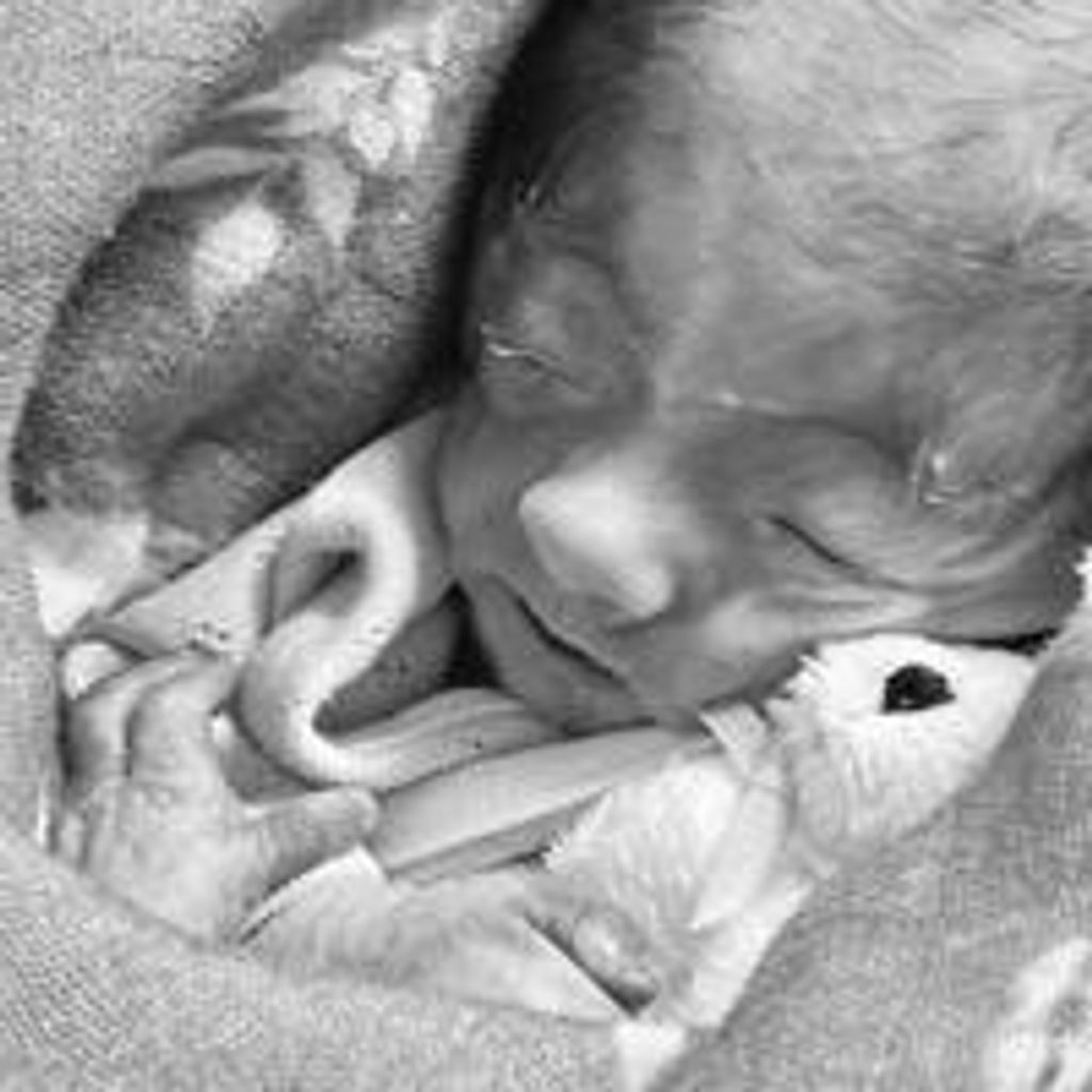 Kansley Grace Leach