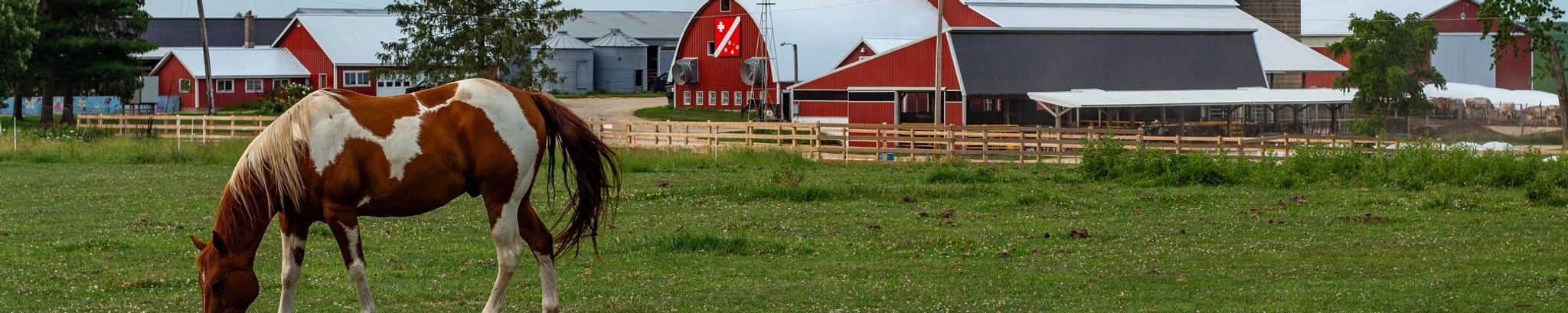 Cover for Martin Adame Gaytan's Obituary