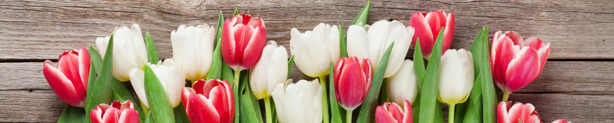 Cover photo for Patsy Doyle's Obituary