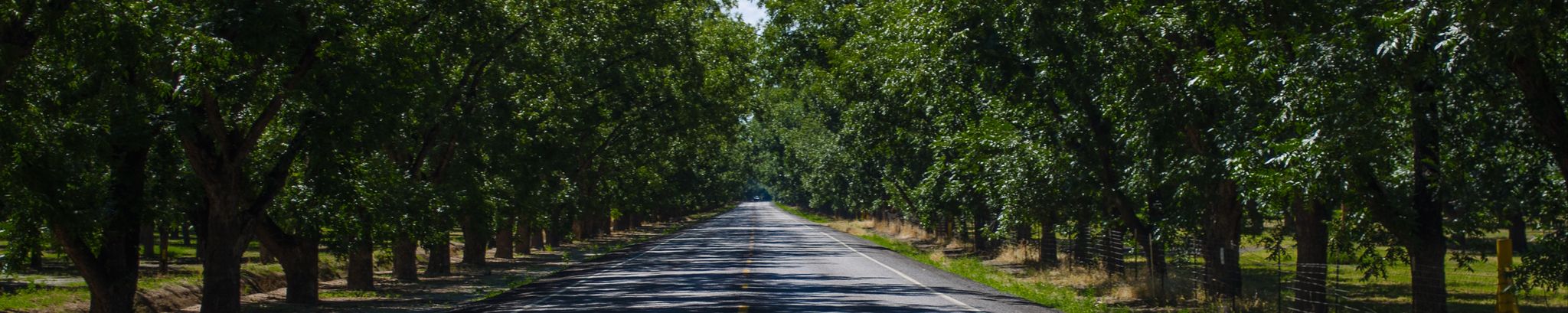Cover for Victoriano "Victor" Hernandez's Obituary