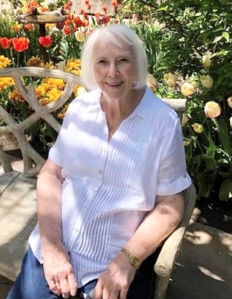 Patricia Ann (Schneider)  Dewey