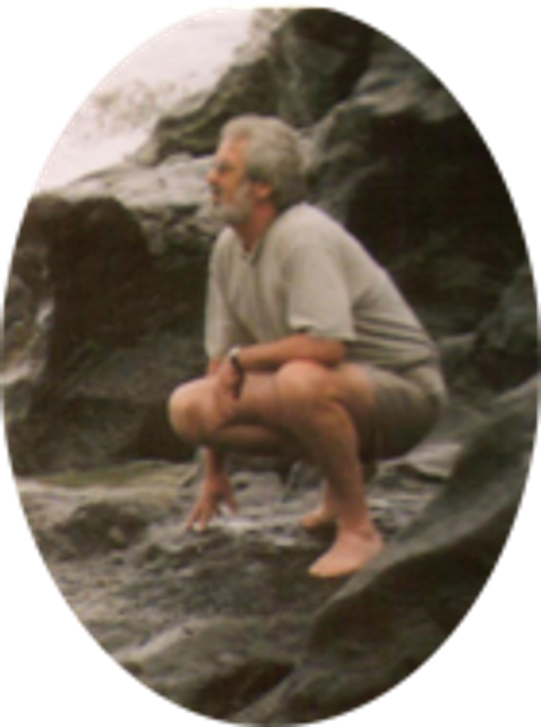 Robert Gower