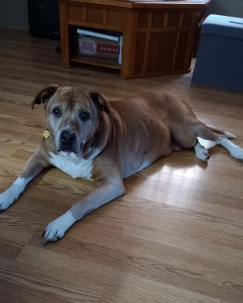 Rocko Townsend Profile Photo