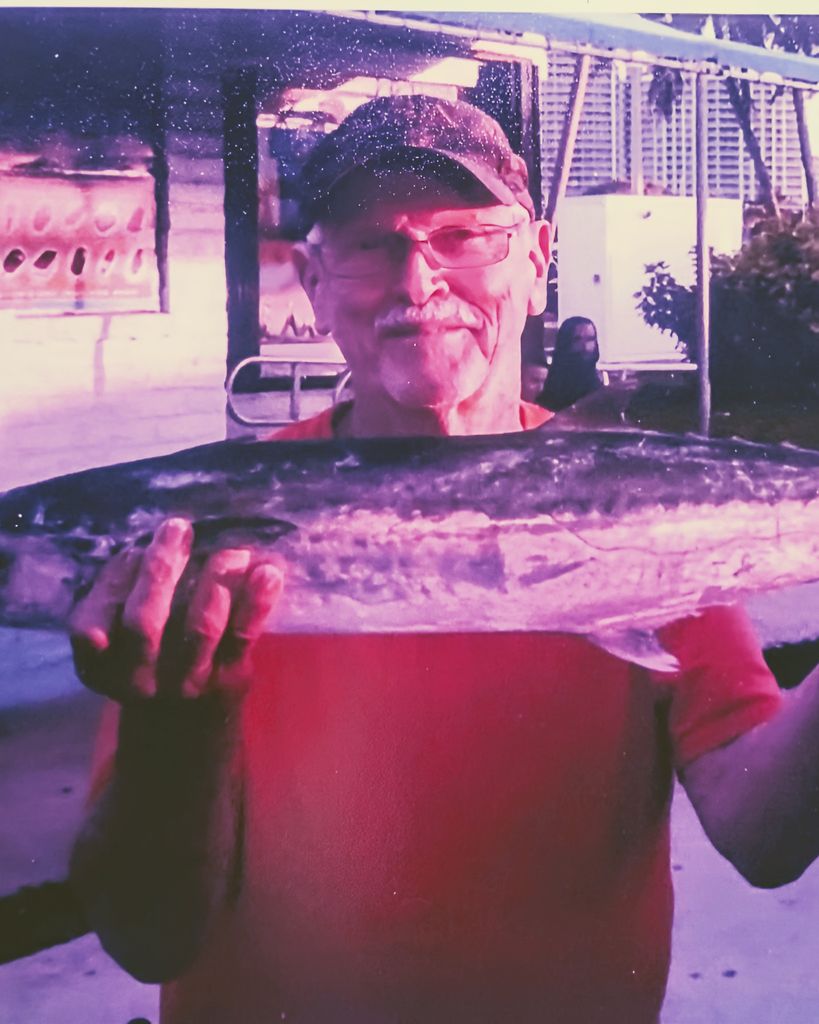 Robert Vawter Stribling