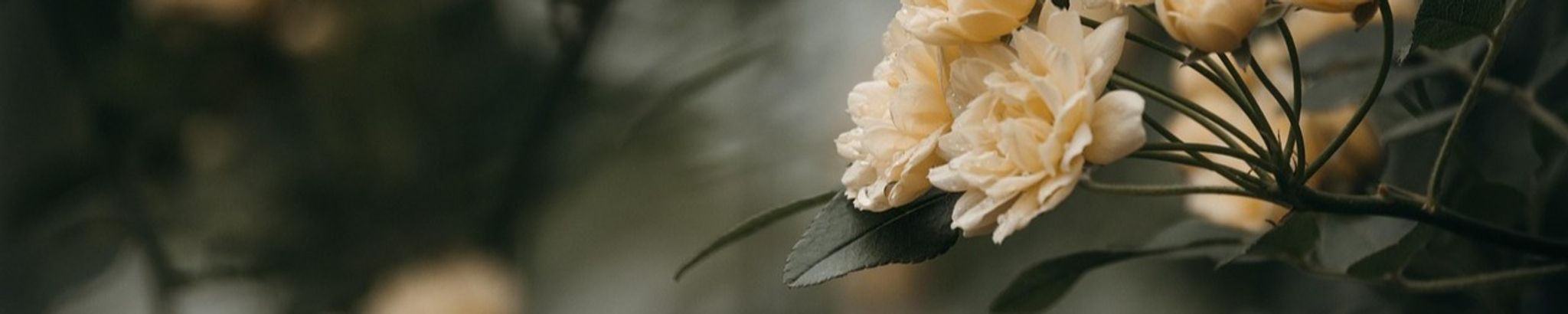 Cover photo for Enid Greenwell's Obituary