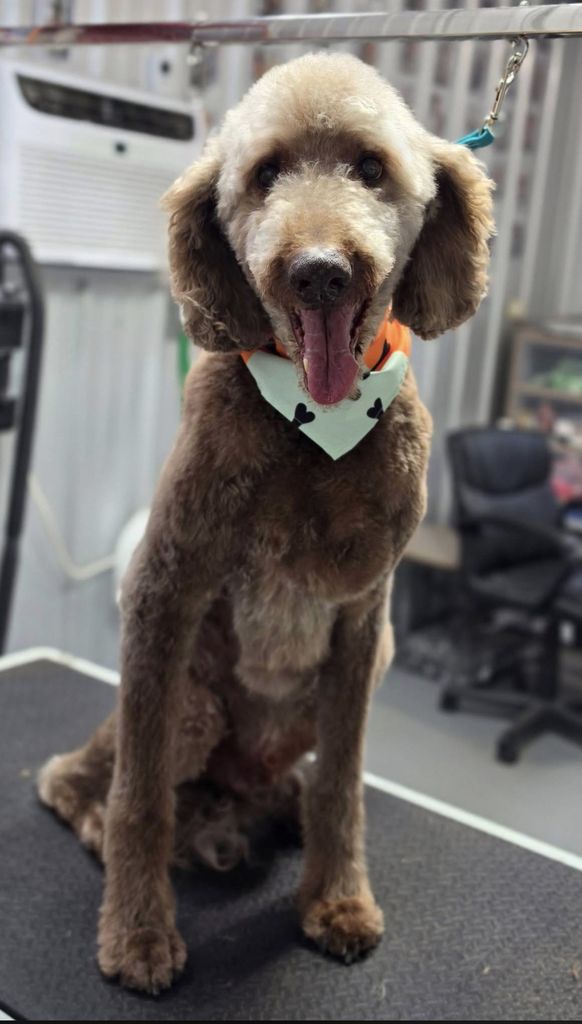 Oso Hernandez Profile Photo