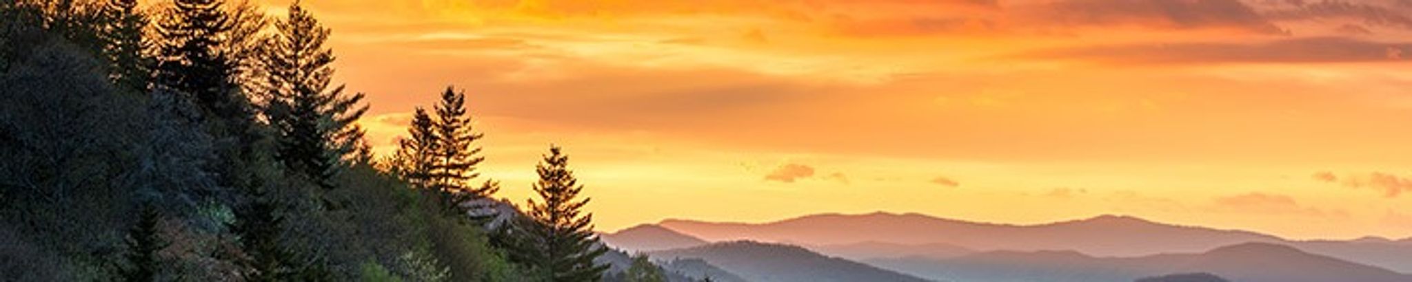 Cover for Tracy Lee Gilley, Sr.'s Obituary