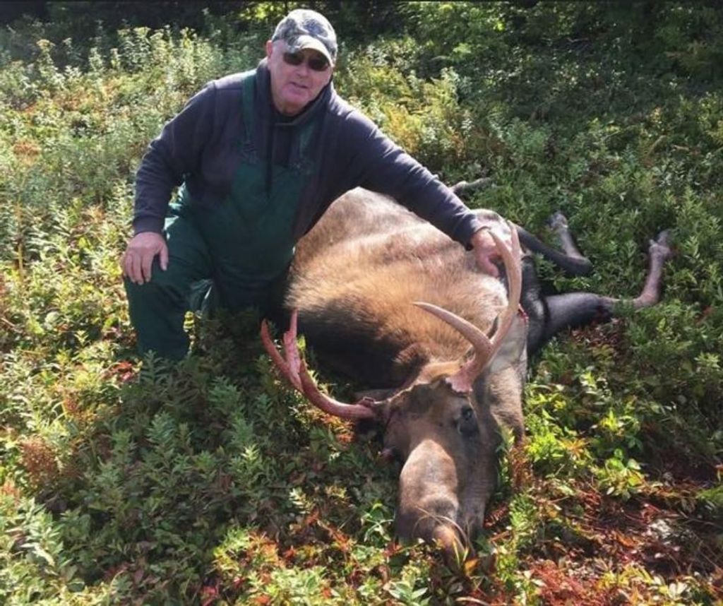 Brian Patrick Gushue Profile Photo