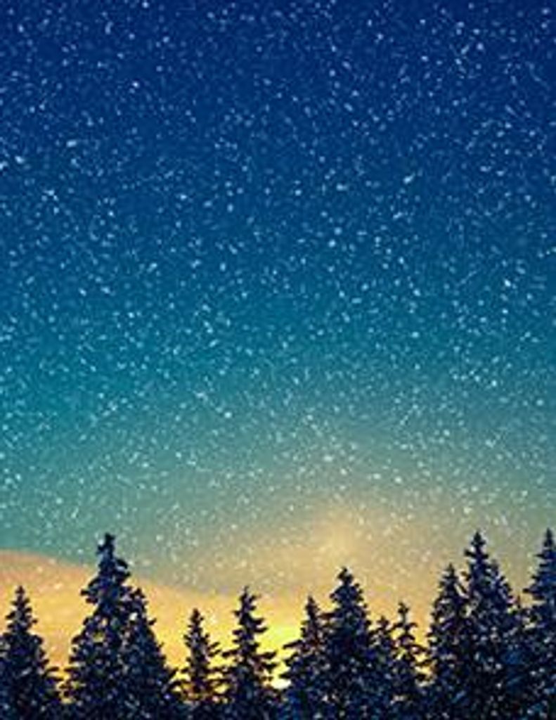 Douglass Johnston Sisson Profile Photo