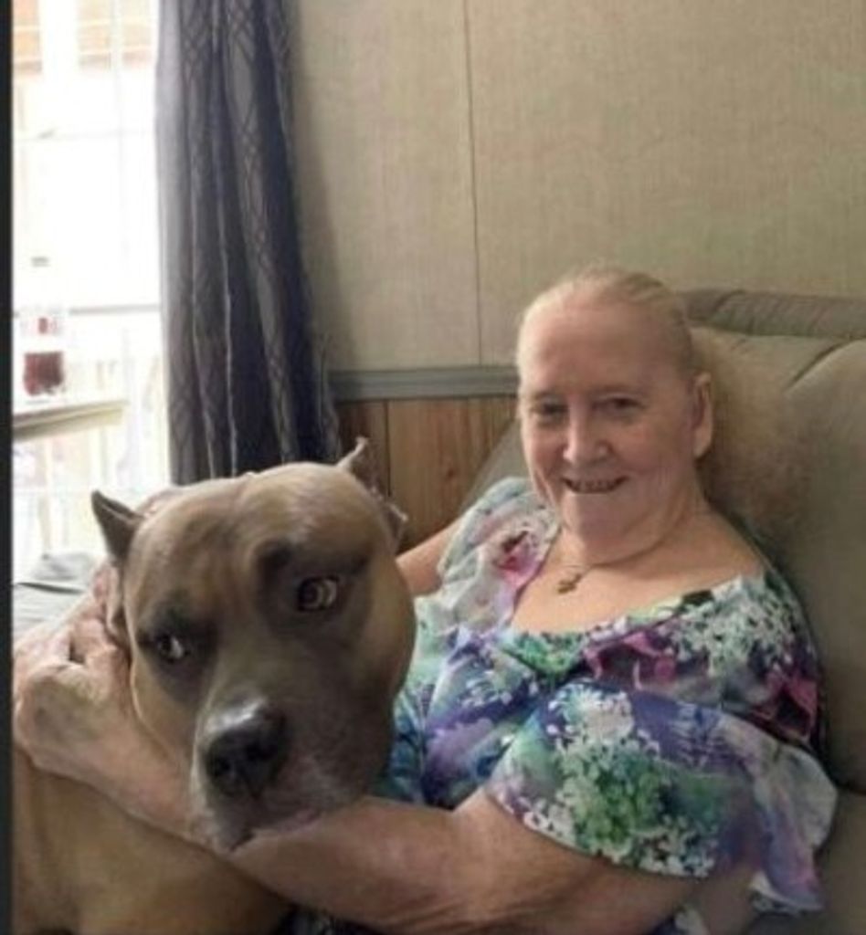 Judy Roberts Profile Photo