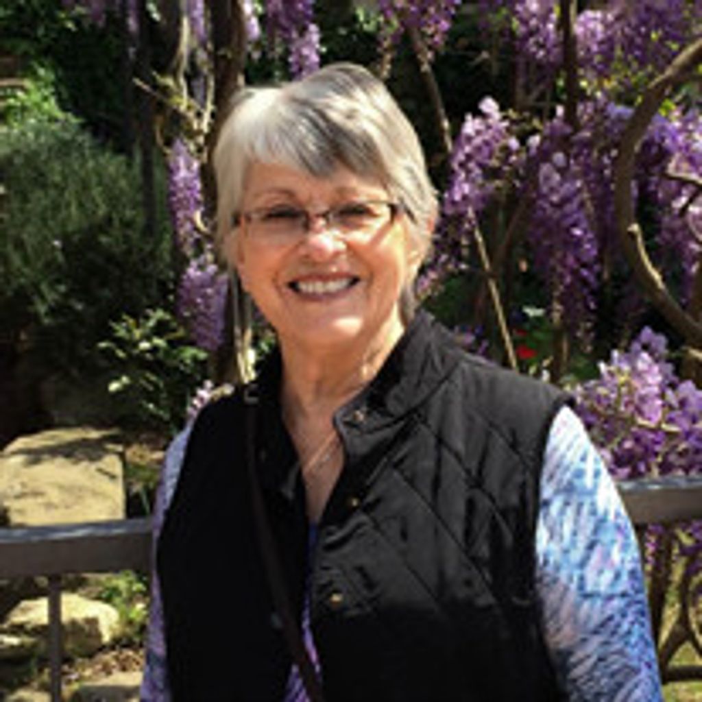 Carol Willey