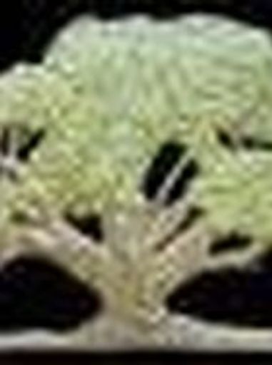 Greg  James Snyder Profile Photo