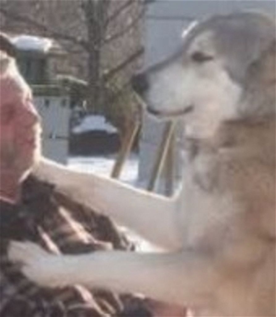 Rickie Lee Whitmire Profile Photo