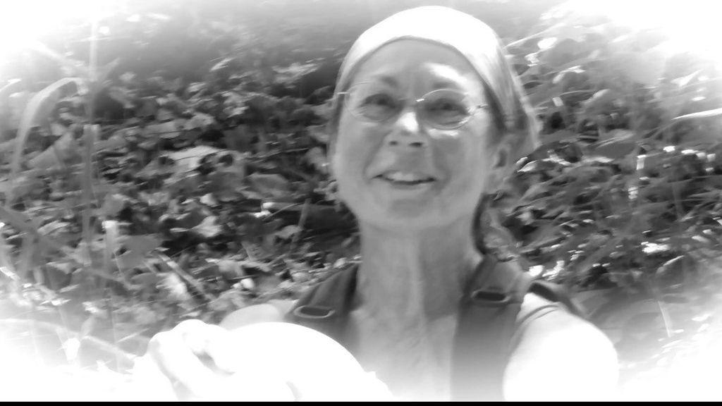 Christina M. Caito Profile Photo