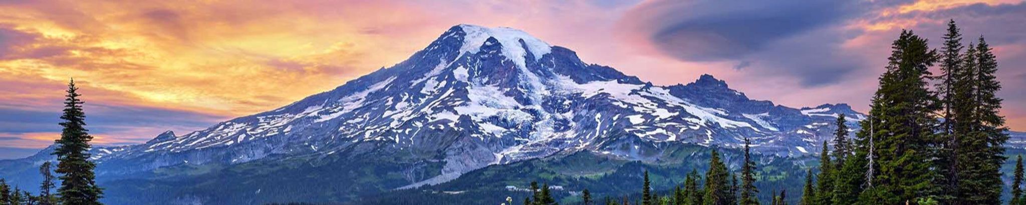 Cover for Mary Jo Sibbett's Obituary