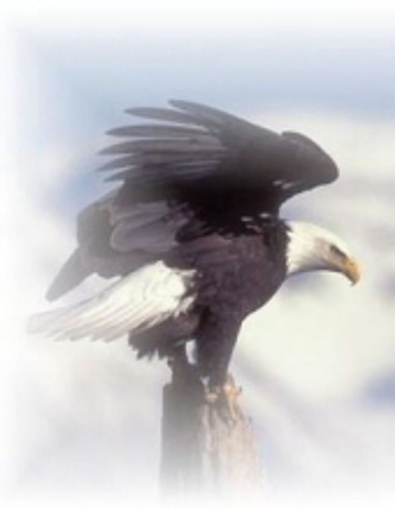 Margaret "Maggie" Lantz