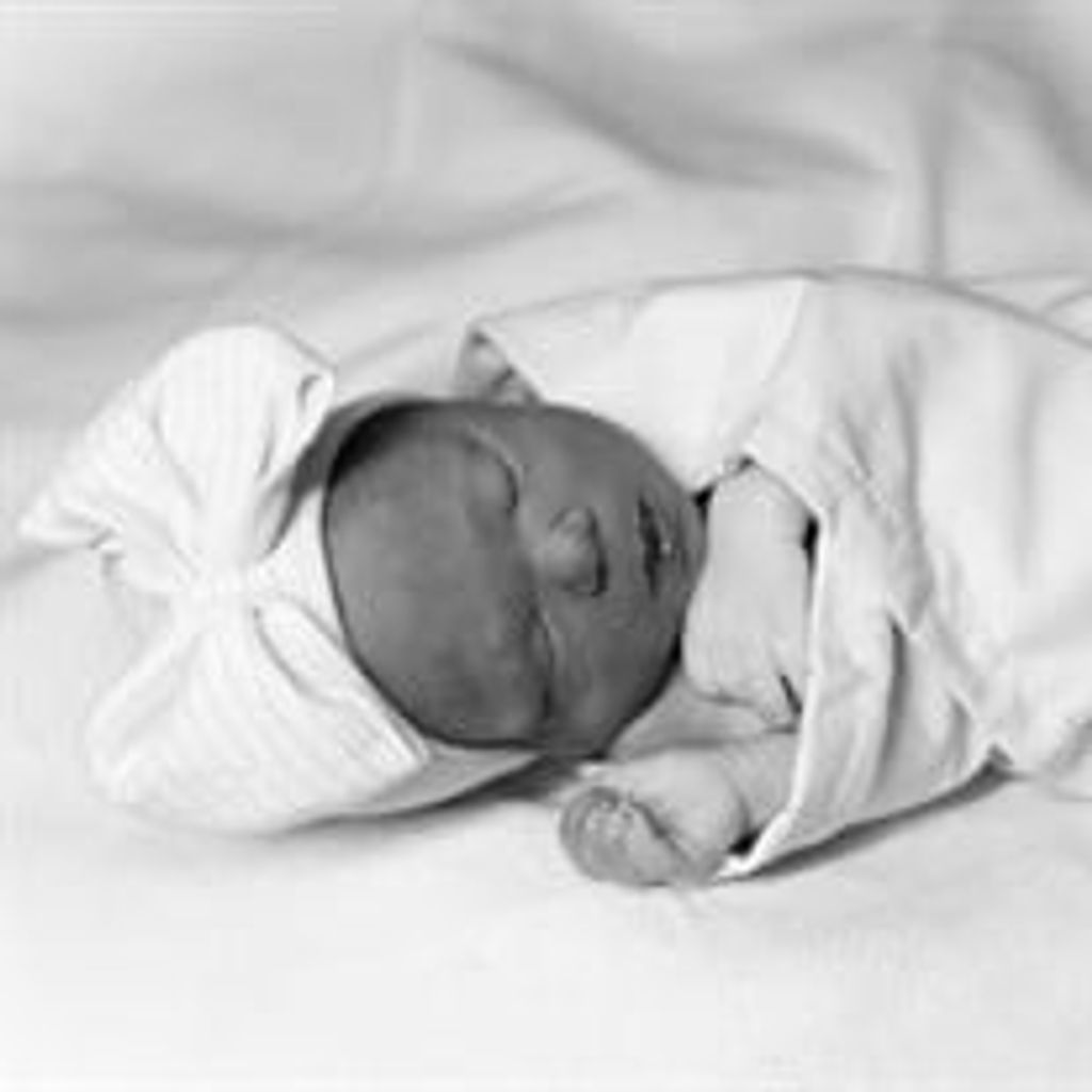 Olivia Doreen Willmore