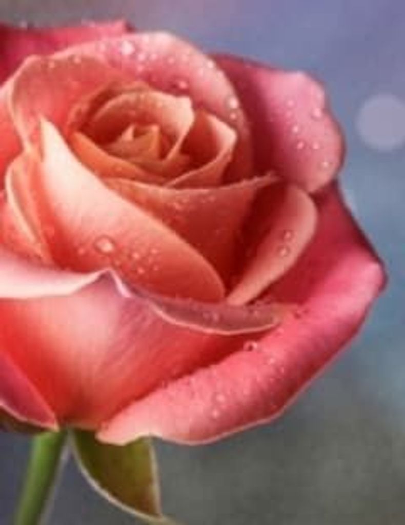 Gloria J. Weaver Profile Photo