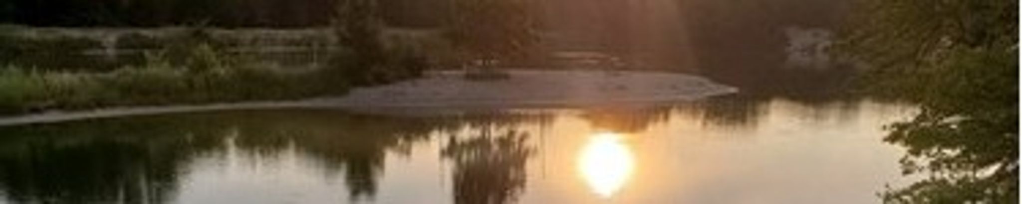 Cover for Gale Gronenthal's Obituary