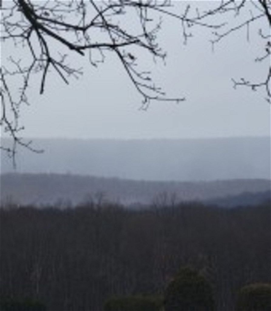 Effie Mae Allen Profile Photo