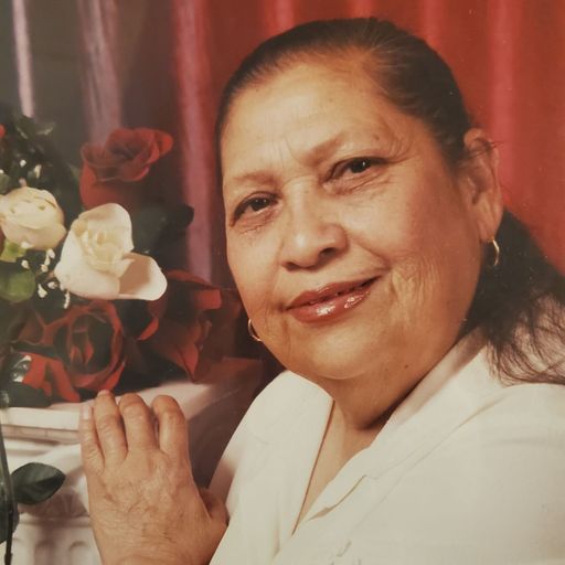 Pilar Guadalupe Mendoza De Gamez Profile Photo
