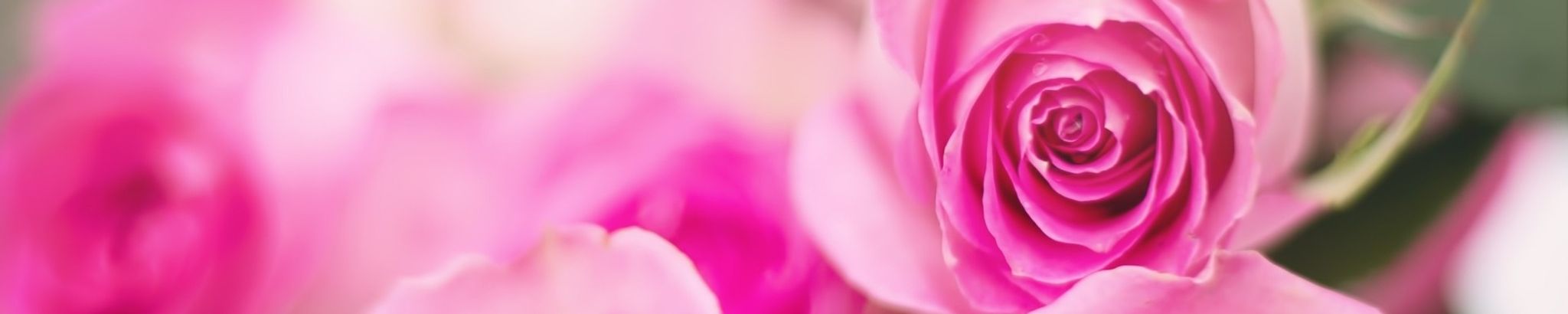 Cover photo for Sharon Esquibel's Obituary