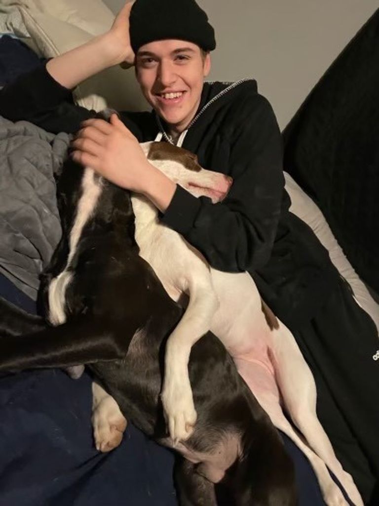 Sebastian Jagger Dosier