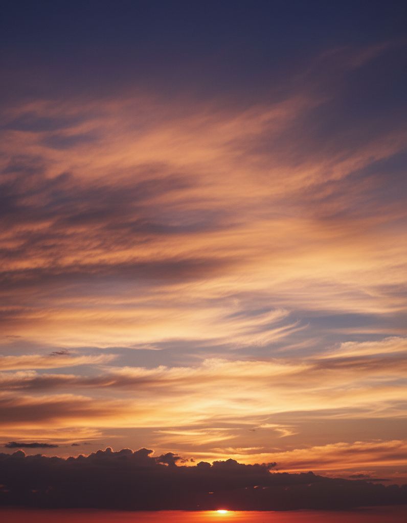 Pamela Hrdlicka Profile Photo