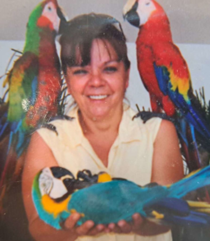 Cynthia Barrett Profile Photo