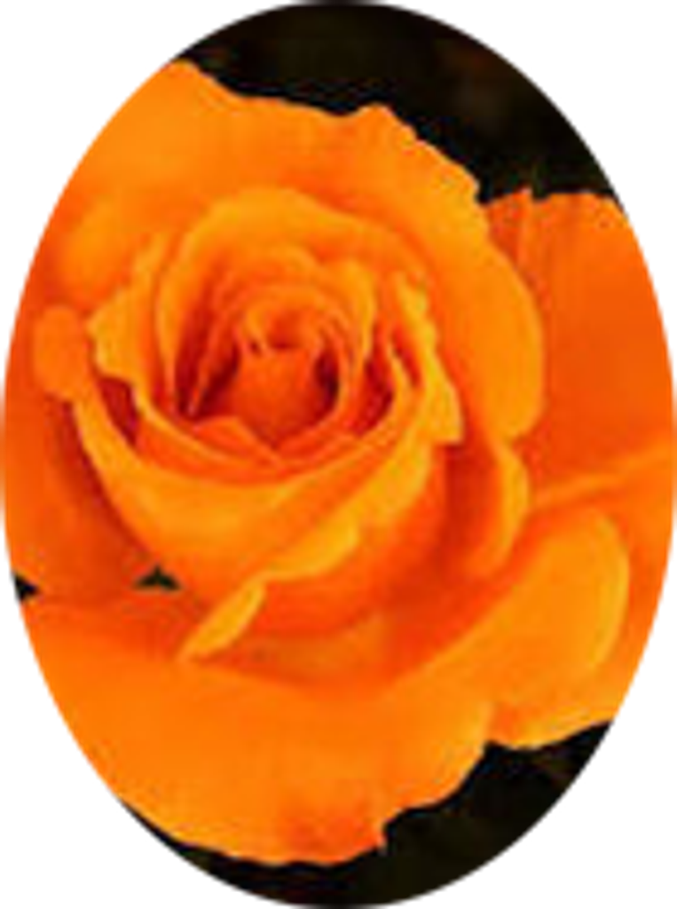 Bertha Mccann