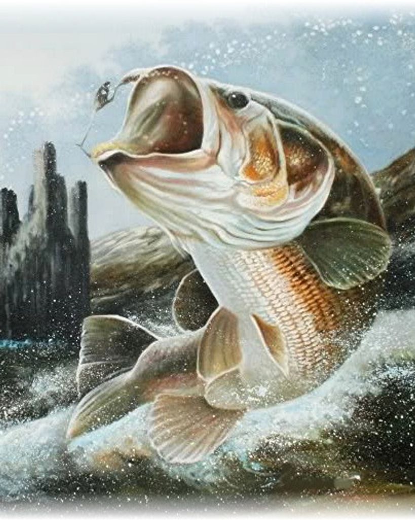 Wayne Harry Janssen