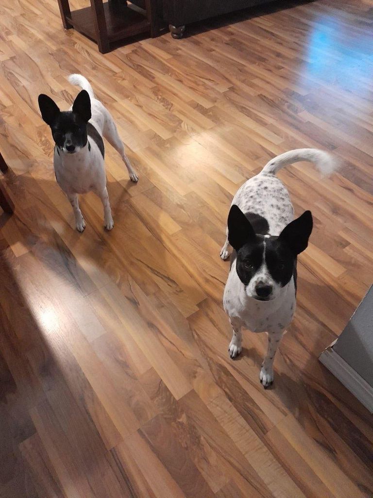 Addie & Emma Selzer