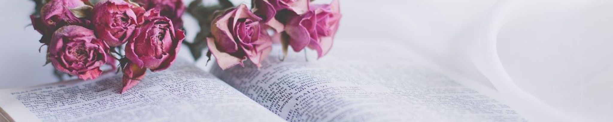 Cover for Nancy Lee Somerville's Obituary