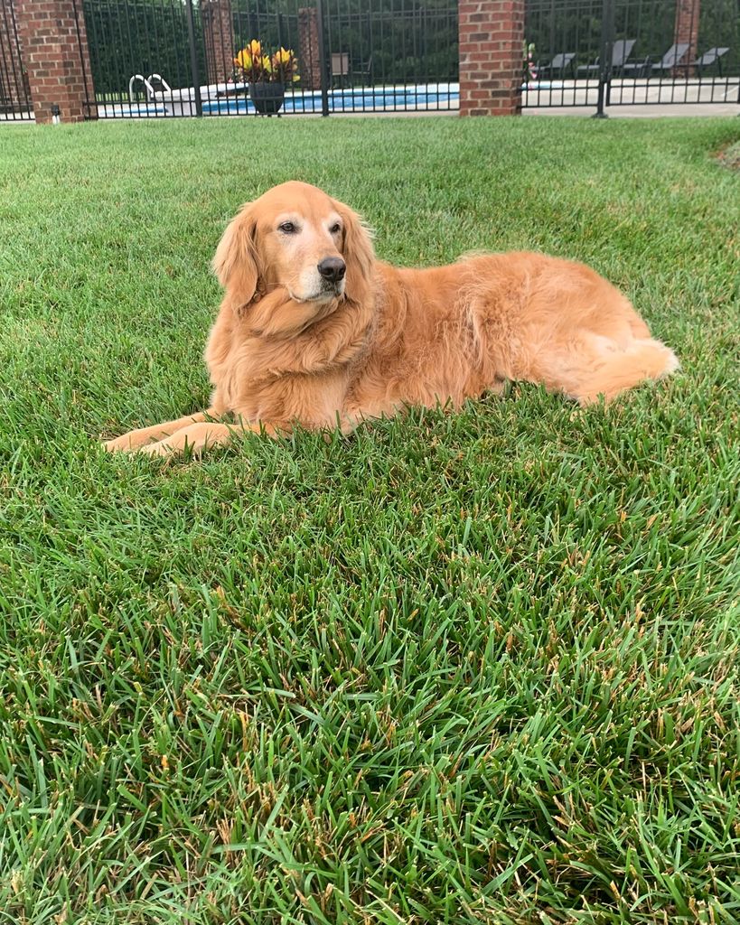 Chloe Lane Profile Photo