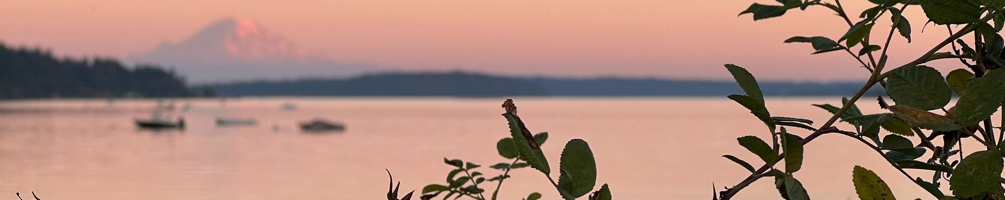 Cover photo for David Michael Greenstein's Obituary