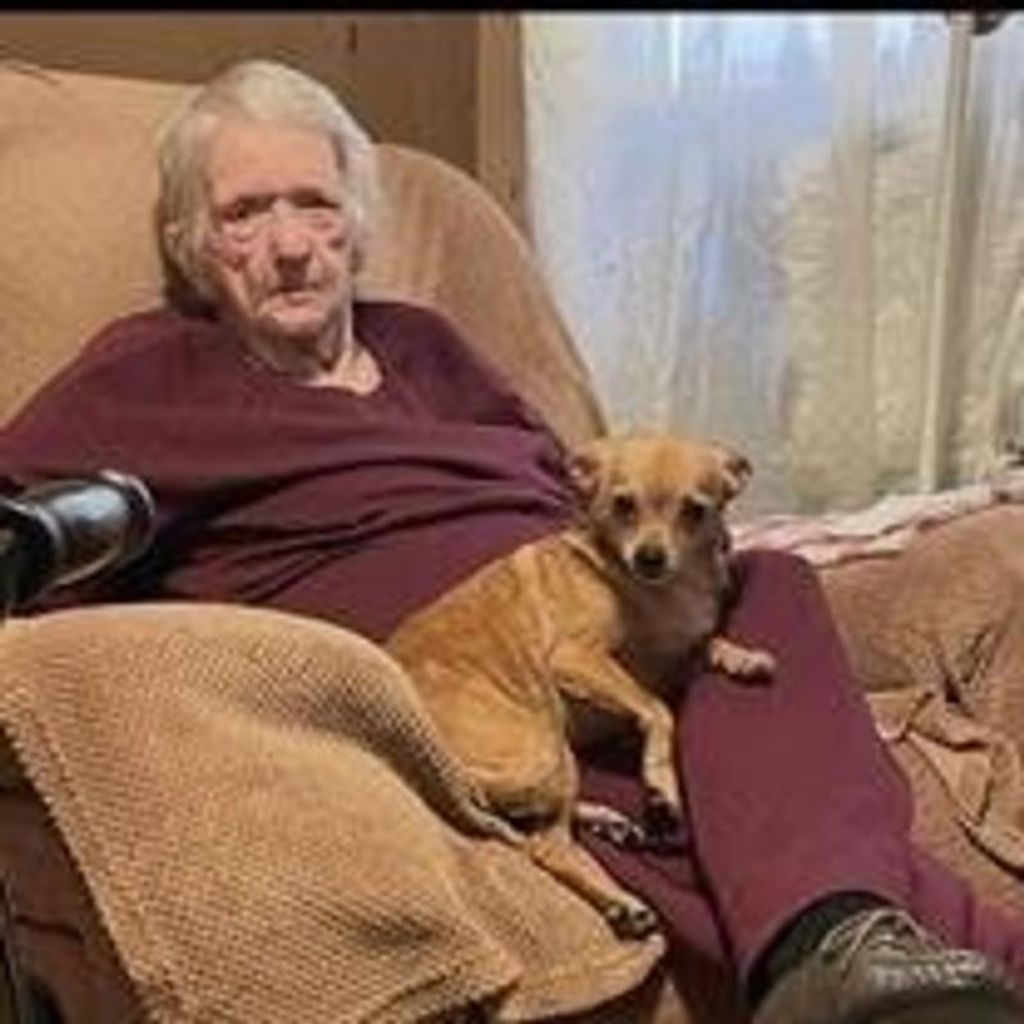 Fay Collins Profile Photo