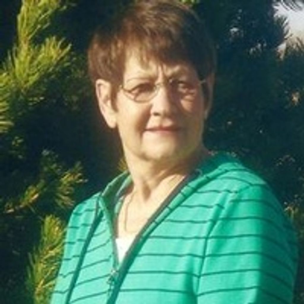 Sherry Cortese Barfield Profile Photo