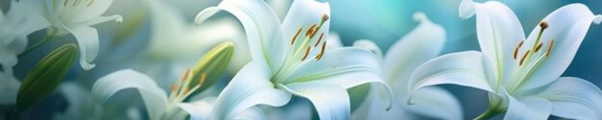 Cover photo for Cheryl Ann Newman Pike's Obituary