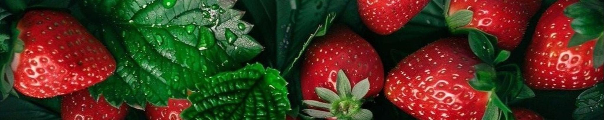 Cover photo for Susan Fay Blevins's Obituary