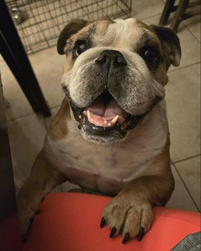 Clark ♥'s obituary image