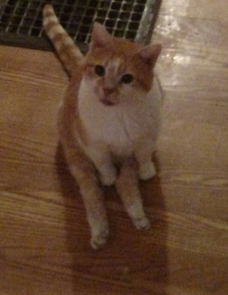 Dexter Bowlby Profile Photo