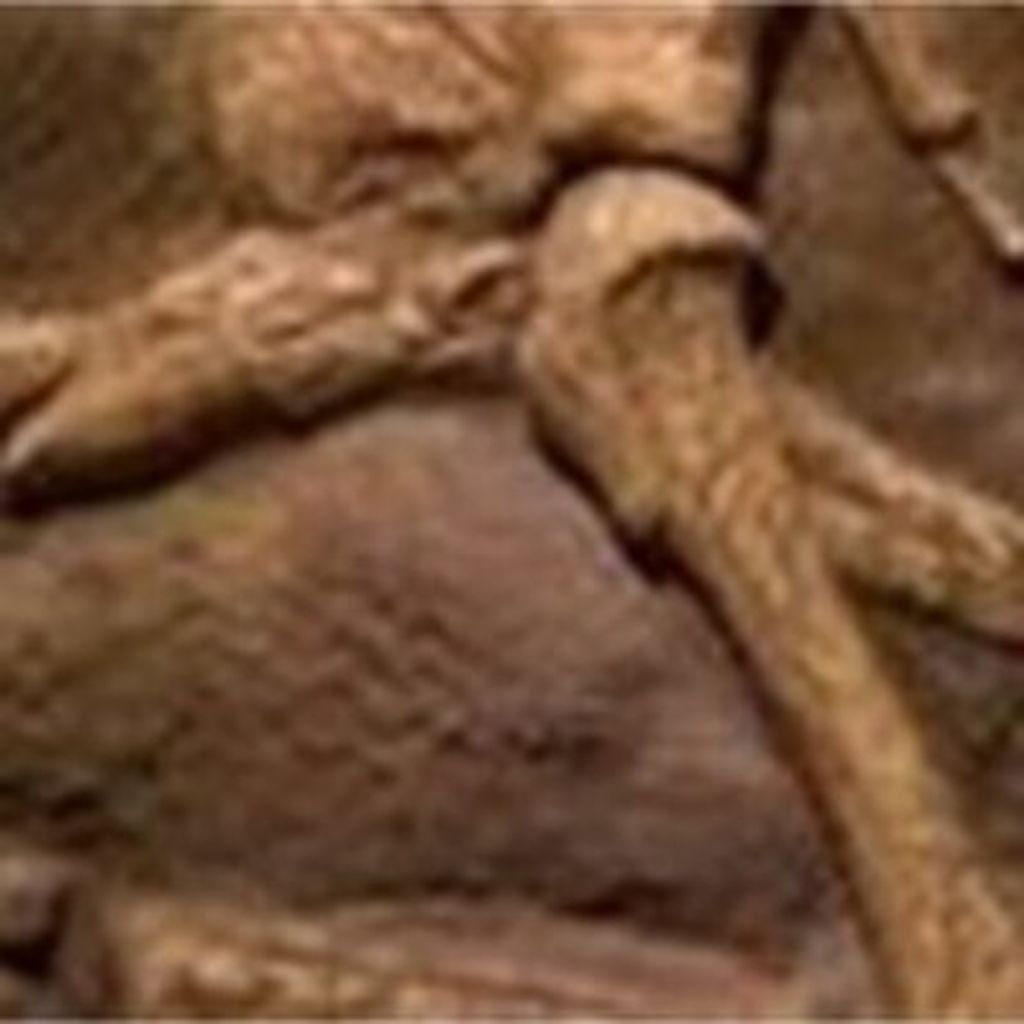 Brooks Rutherford Smith