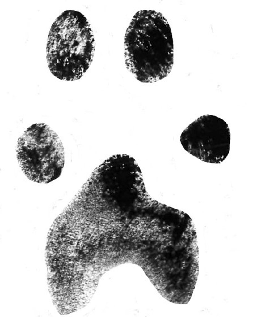 Moah Deal Profile Photo