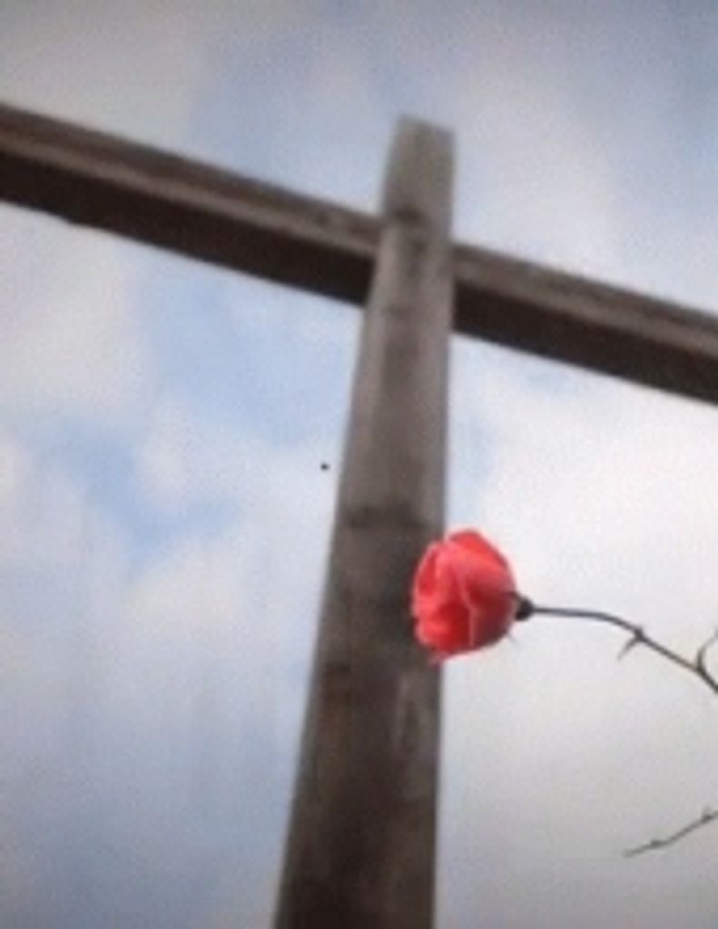 Carrol Altman Thomas -Glbfh